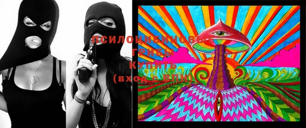 дживик Абинск