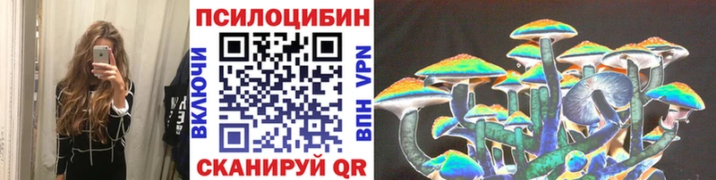 Псилоцибиновые грибы Cubensis Тула