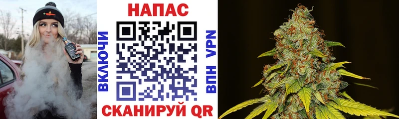 магазин продажи наркотиков  Тула  Каннабис SATIVA & INDICA 